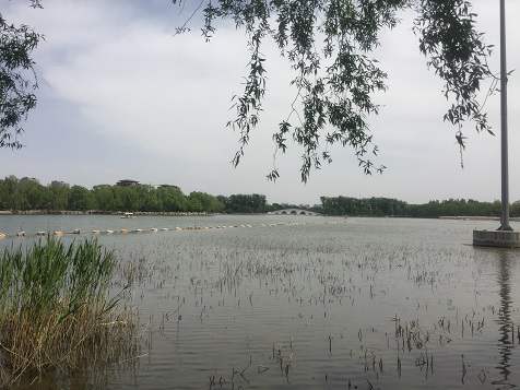 ���뷫��ȡ��Ԣ��һ���𣬷���Ԣ�����