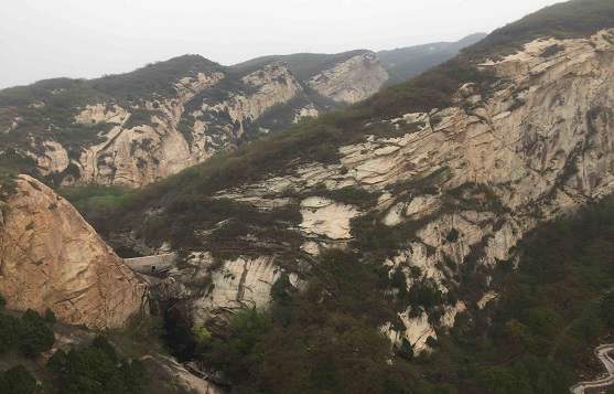 ��ԽŮ��ȡ����Ԣ��������ֵ�������Ӱ��