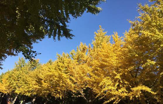 ����޿��ȡ��Ԣ����ν��ͣ����ֵĺ���������