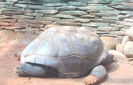 �к�����ʫ��Ԣ�⣬����õ��к������Ƽ�