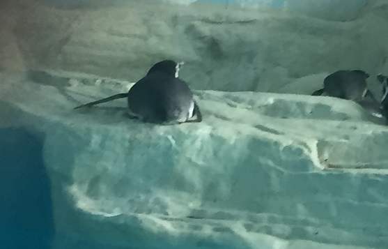 �e��ȡ����Ԣ����ʲô�أ��e�ֵ��Ļ��ں�