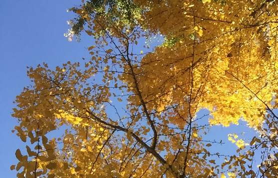 ����ȡ��Ů��Ԣ����������������