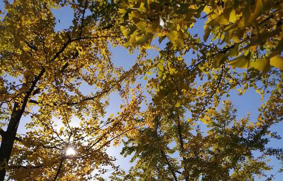 ȡ��������Ԣ����ʲô��˼���������ֵĺ���������